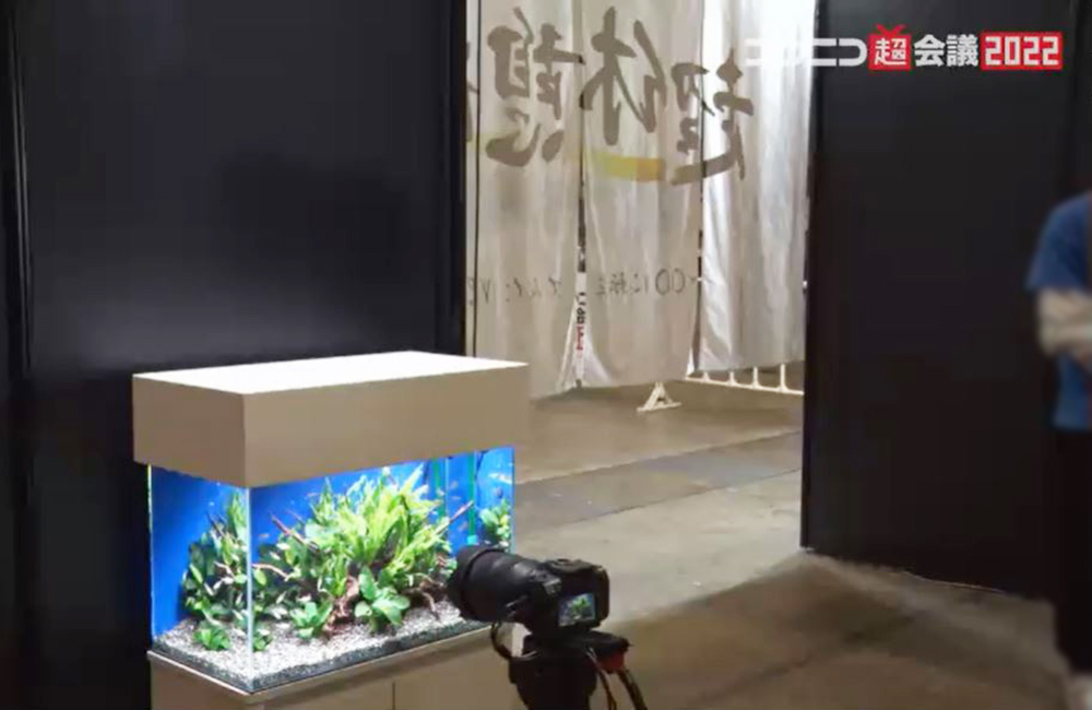 ニコ超会議2022会場の水草水槽と撮影用カメラ