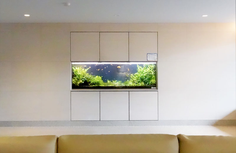東京都 住宅・マンション様 170cm大型水草水槽 メンテナンス事例 水槽画像2