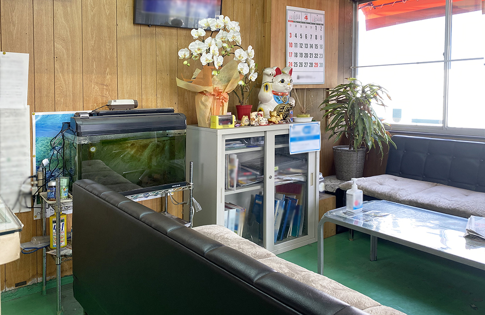 ソファのある待合室に置かれた金魚の水槽と胡蝶蘭の花鉢