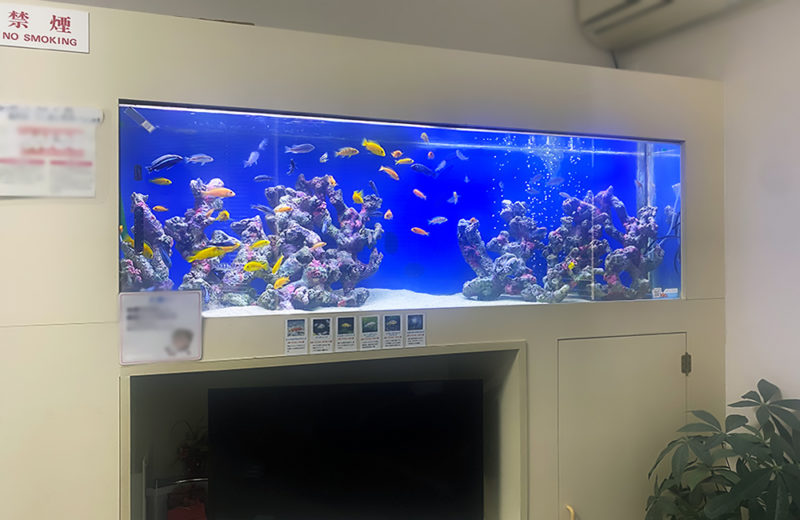 歯科医院 待合室 180cm大型淡水魚水槽 メンテナンス事例 水槽画像1