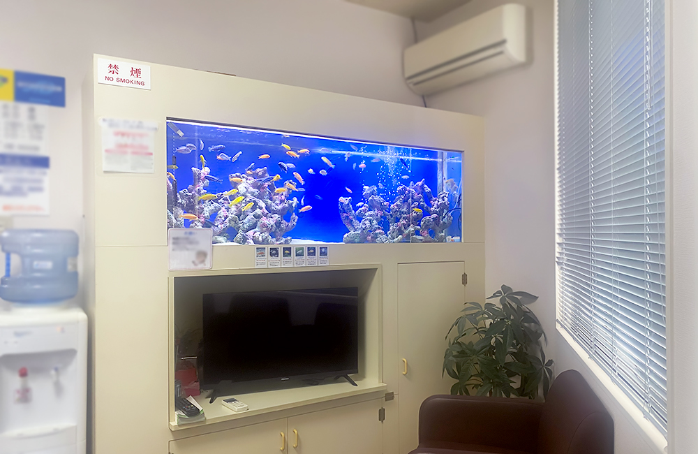 待合室の壁に埋め込まれた大型の海水魚水槽