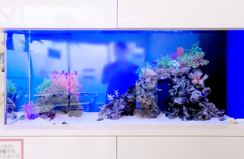 青い背景に岩と人工水草を配置した海水魚水槽の全景