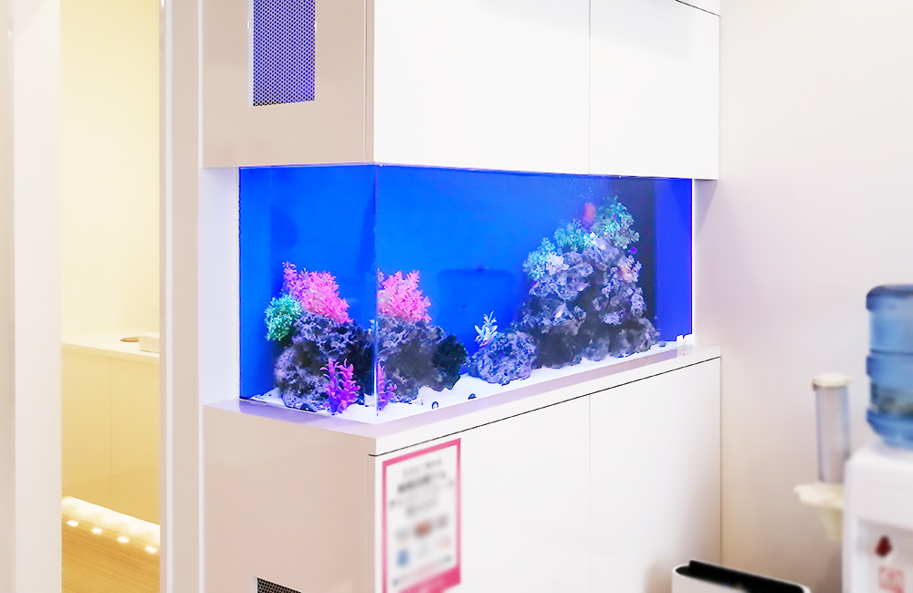 東京都 眼科クリニック様 110cm海水魚水槽 リース事例のサムネイル画像