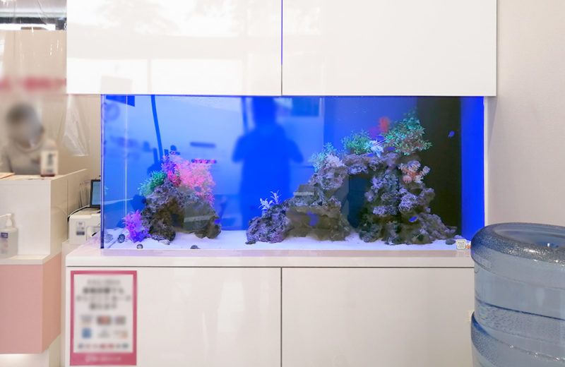 東京都　眼科クリニック様 110cm海水魚水槽 リース事例 水槽画像２