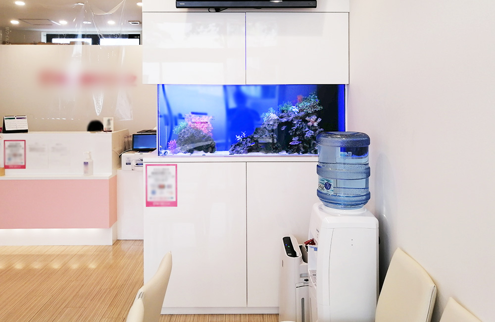 白い壁面に埋め込まれた青い背景の海水魚水槽と待合室の風景