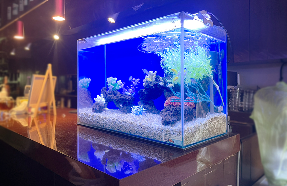 青い照明に照らされたバーカウンター設置の熱帯魚水槽