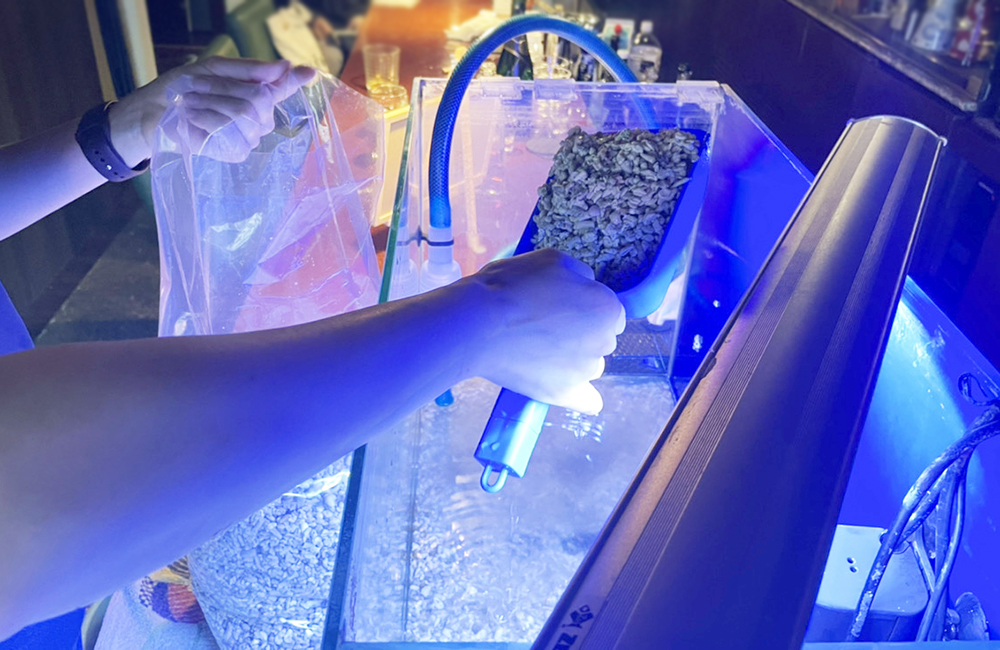 スコップで水槽に底砂を入れる人の手元