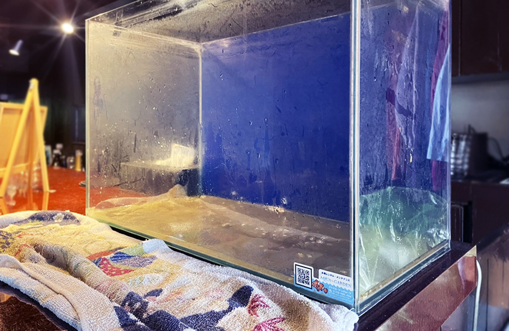 青いバックスクリーンを貼った空の水槽と手前のタオル
