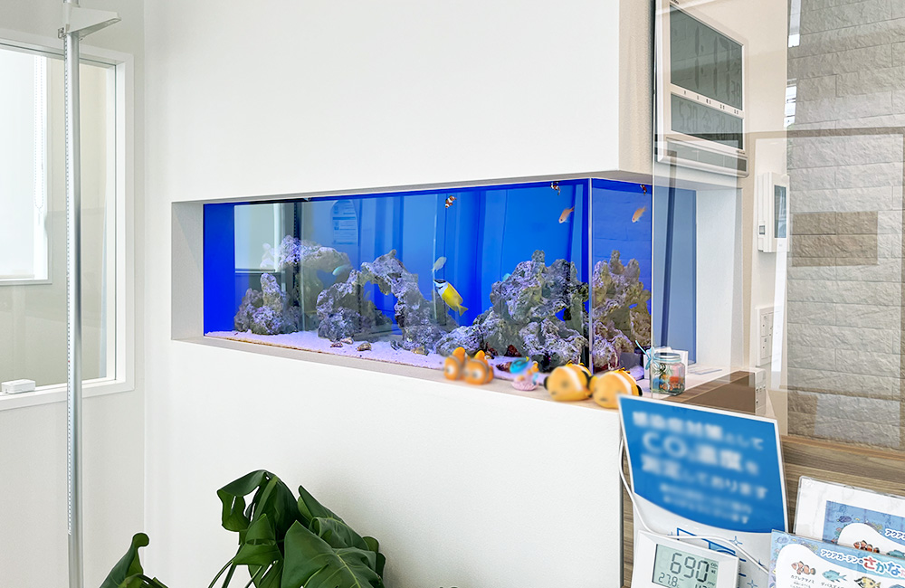 神奈川県 内科クリニック様 埋め込み120cm海水魚水槽 レンタル事例のサムネイル画像