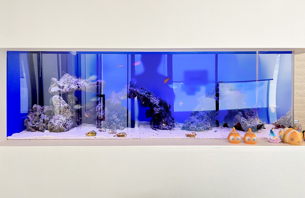 青い背景に岩を配置した横長な海水魚水槽の全景