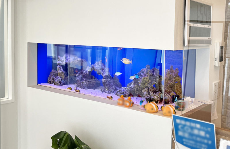 神奈川県 内科クリニック様 埋め込み120cm海水魚水槽 レンタル事例 水槽画像3