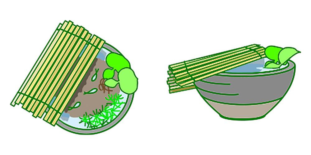 すだれで日除けをしたメダカ鉢と浮き草のイラスト