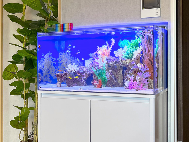 青い照明に照らされたサンゴ模型と熱帯魚の海水風水槽