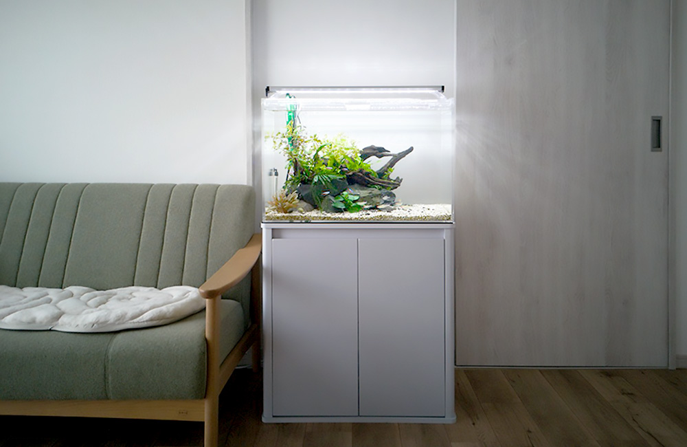 リビングのソファ横に設置された水草と流木の水槽レイアウト