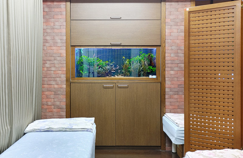 静岡県 病院様 120cm水草水槽 定期メンテナンス事例 その後 水槽画像2