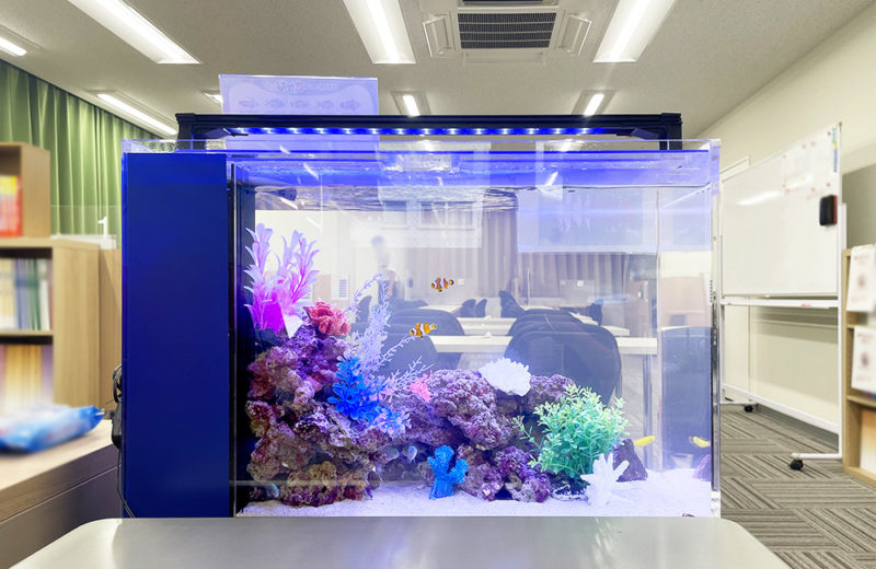 東京都　個別指導塾トライプラス 滝野川校 様　60cm海水魚水槽　水槽レンタル事例 水槽画像３