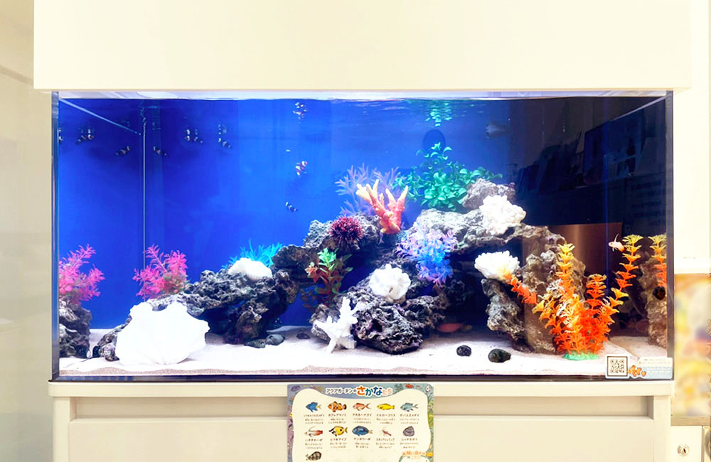 埼玉県川口市　歯科クリニック様 90cm海水魚水槽 レンタル事例