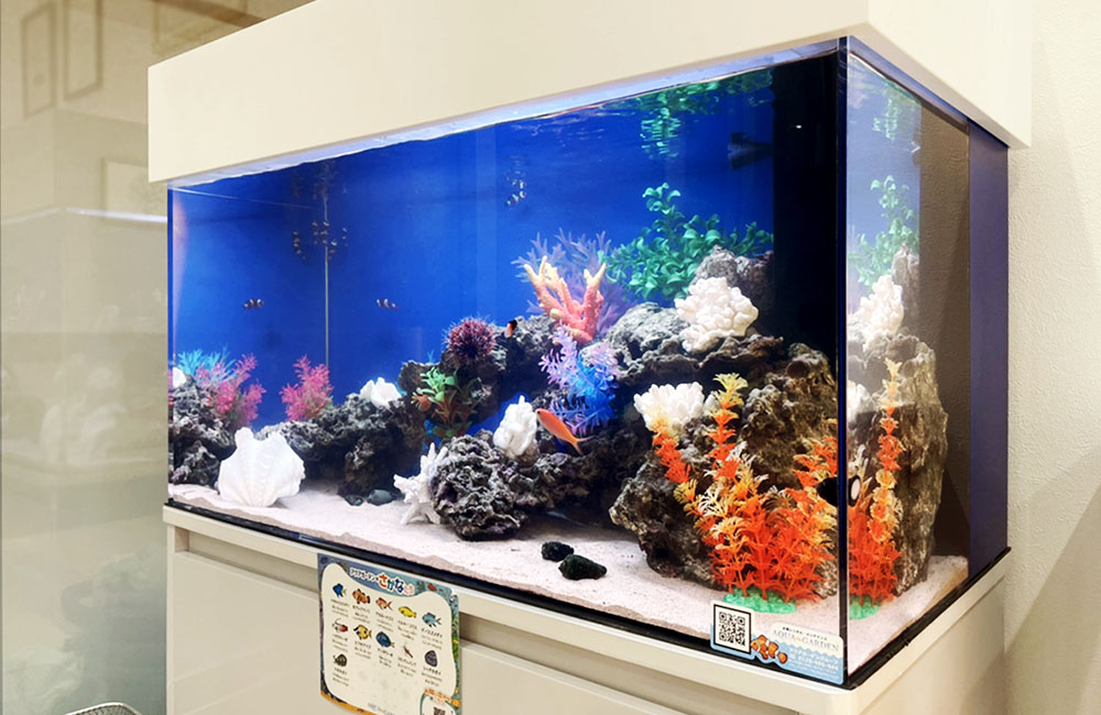 埼玉県川口市 歯科クリニック様 90cm海水魚水槽 レンタル事例