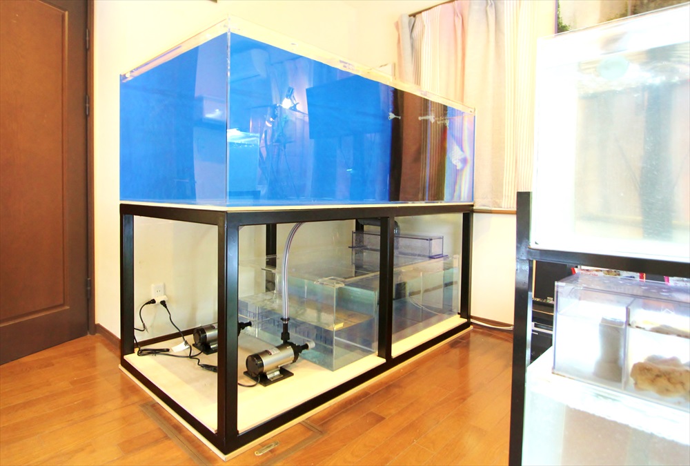 青い背面のアクリル水槽と黒い鉄製水槽台の大型設備