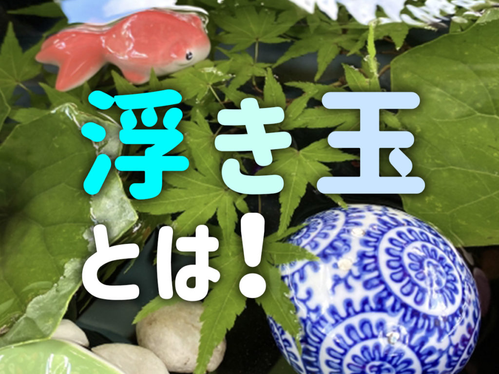 浮き玉とは！入れる理由とアクアリウムやビオトープで使う際の注意点のサムネイル画像