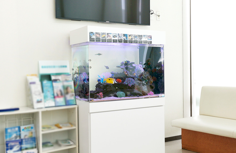 待合室に設置された白い水槽台と海水魚水槽の全景