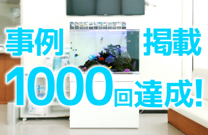 愛知県 眼科クリニック様 90cm海水魚水槽 3年目の水槽レンタル事例 水槽画像1