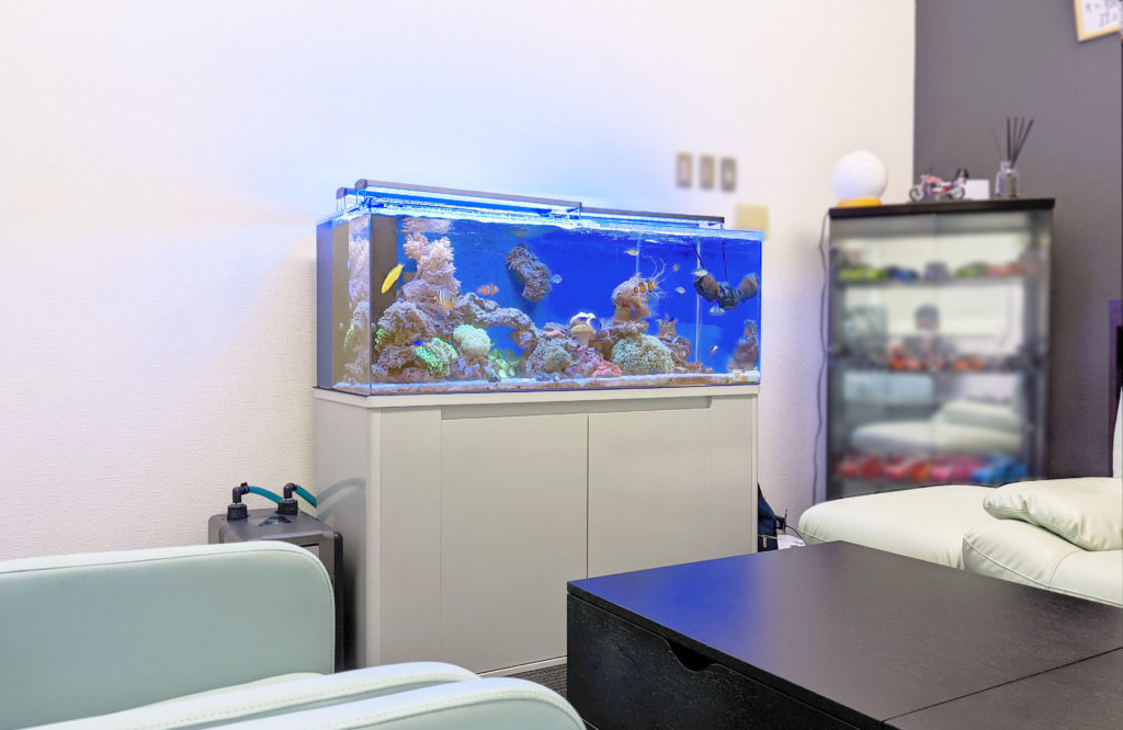 リビングに設置されたサンゴと海水魚の大型水槽