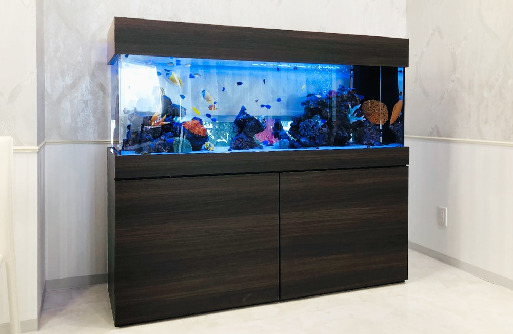 愛知県名古屋市 クリニック様 華やかな150cm海水魚水槽 水槽レンタル事例