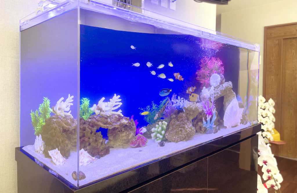 埼玉県 内科小児科クリニック様 120cm海水魚水槽 レンタル事例のサムネイル画像
