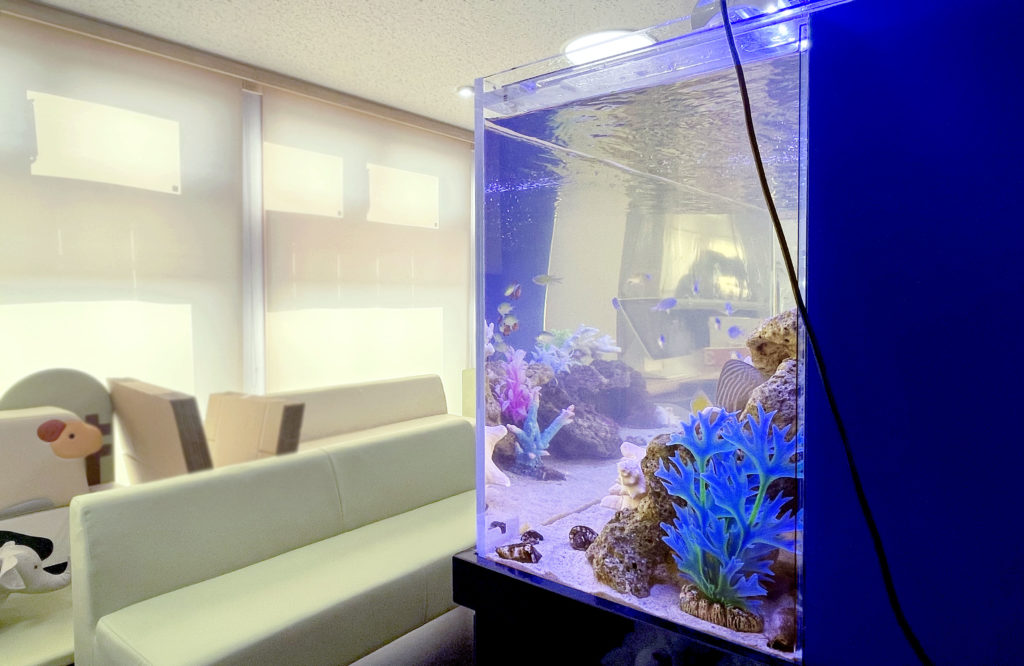 待合室のソファ横に設置された海水魚水槽のレイアウト