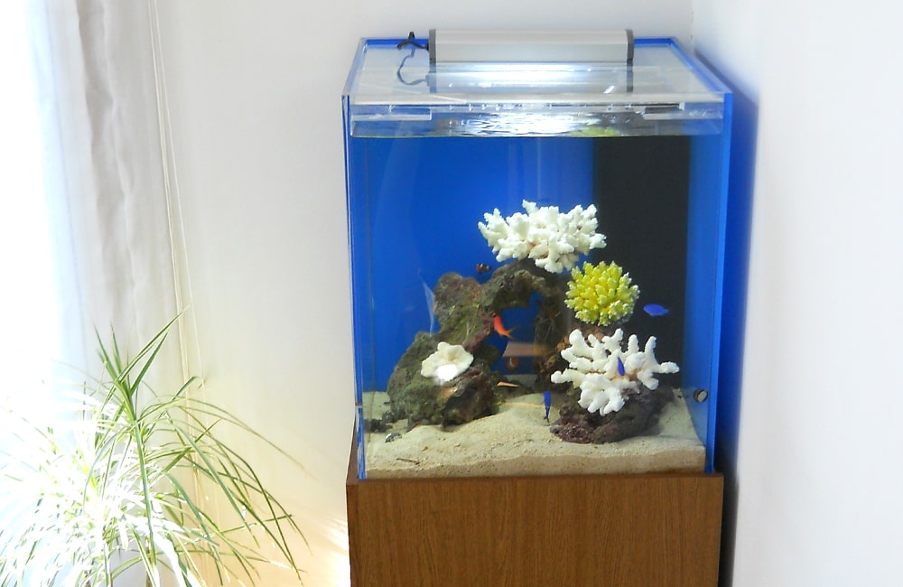 サンゴ模型と熱帯魚が入った青い背景の小型海水水槽
