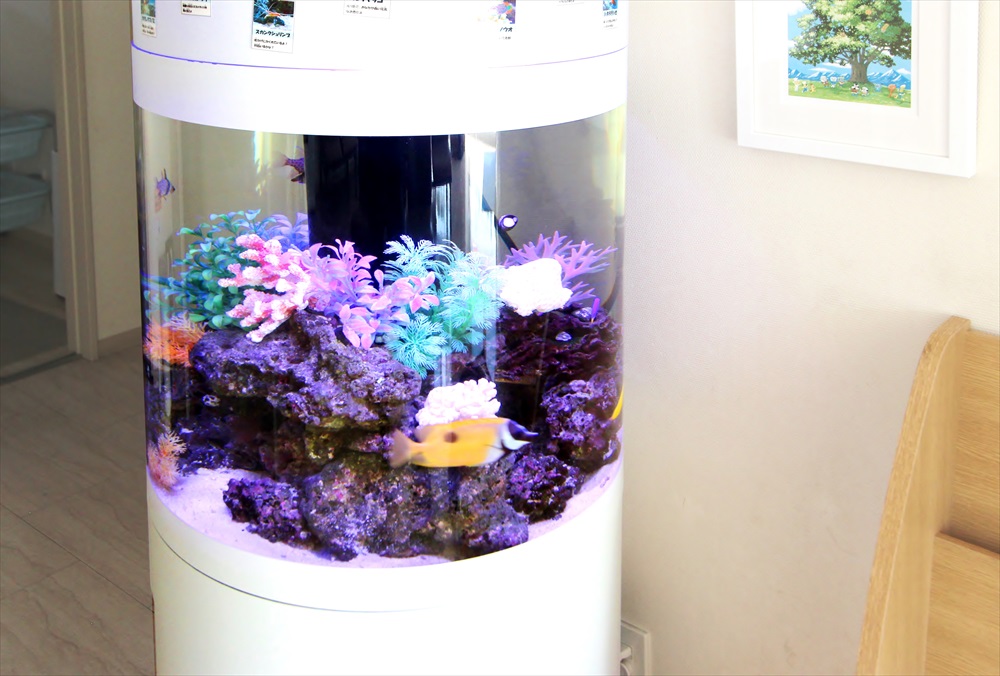 カラフルな人工サンゴと海水魚が入った円柱型水槽