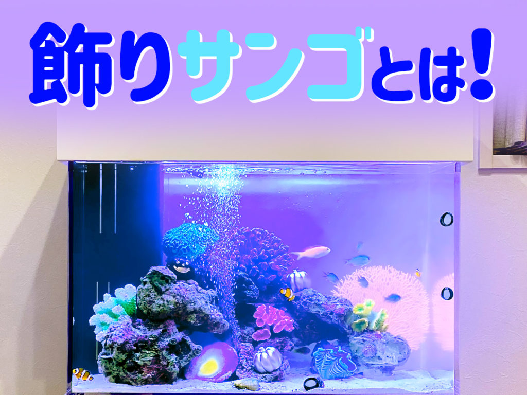 飾りサンゴとは!種類とメリット、水質への影響、レイアウト例を解説のサムネイル画像