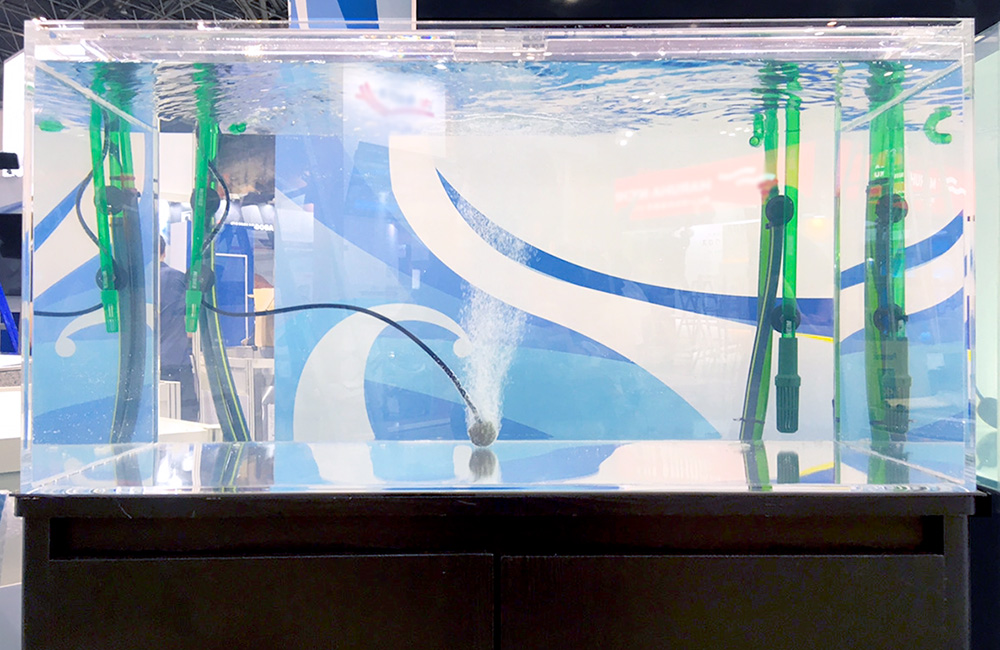 エアストーンから気泡が出る大型のベアタンク水槽