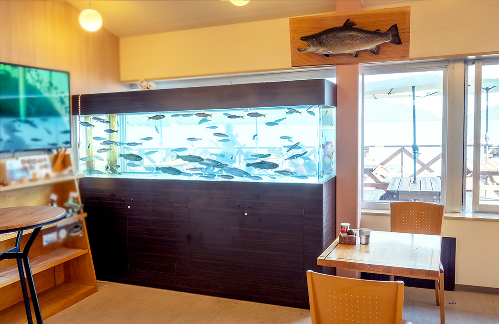 淡水魚が泳ぐ大型水槽を設置した飲食店の店内風景