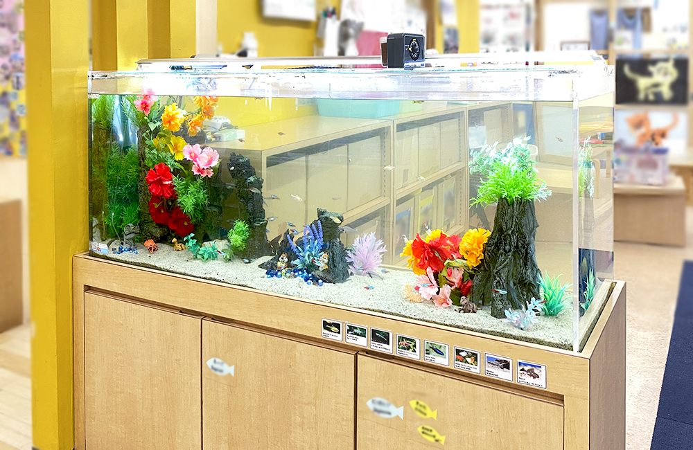 造花と流木オブジェを配置した横長の水槽レイアウト