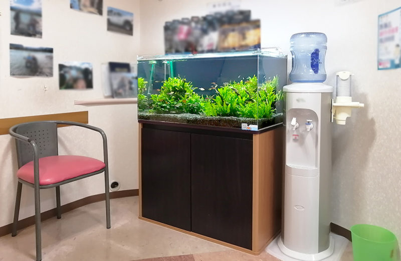神奈川県横浜市 歯科クリニック様 90cm水草水槽 レンタル事例 その後 水槽画像1