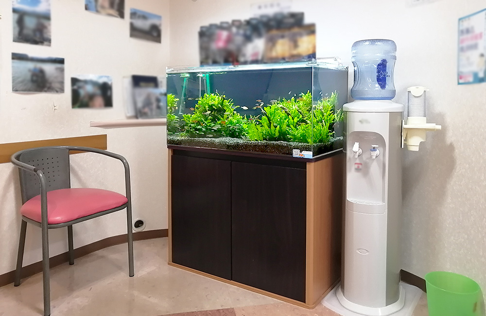 神奈川県横浜市　歯科クリニック様　90cm水草水槽　レンタル事例　その後