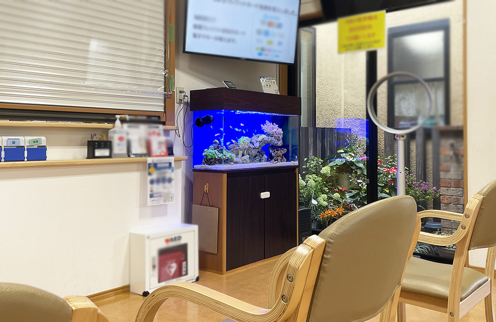 待合室に設置された青い照明の海水魚水槽と木製チェア