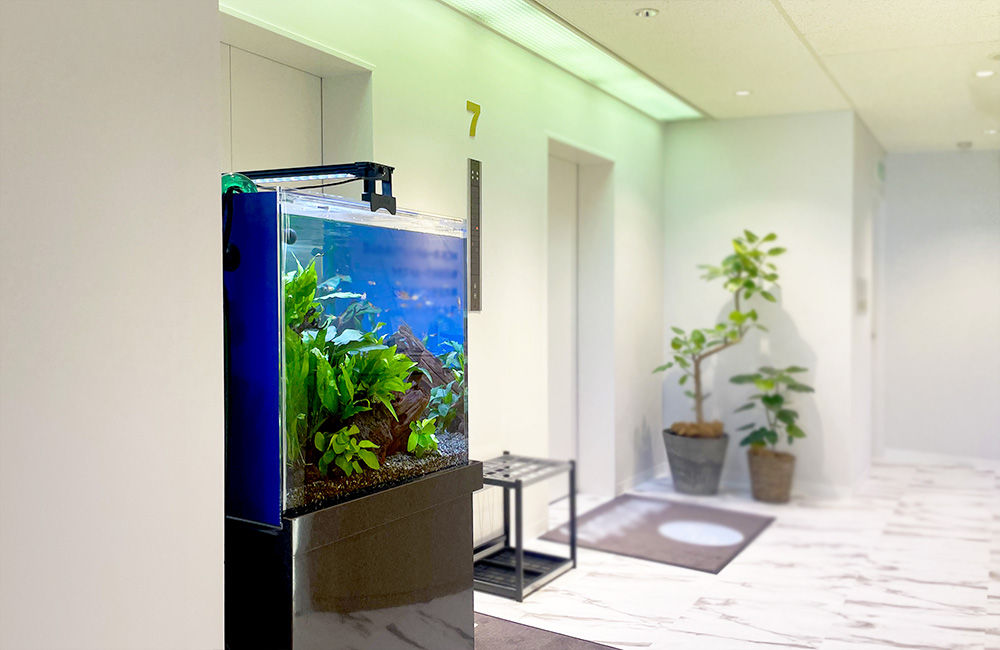 エレベーターホールに設置された水草レイアウト水槽