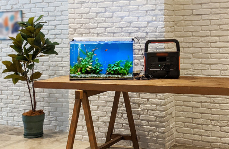 東京都港区 撮影イベント様 60cm淡水魚水槽 短期レンタル事例 水槽画像2