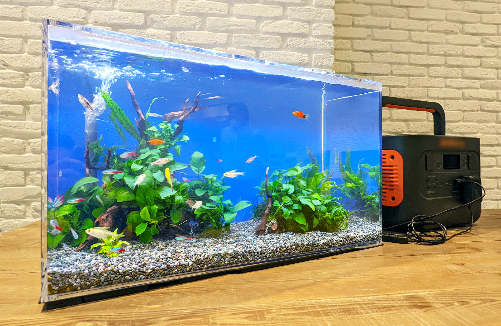 ポータブル電源に接続された熱帯魚水槽と水草のレイアウト