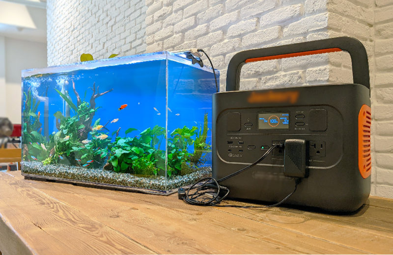 東京都港区 撮影イベント様 60cm淡水魚水槽 短期レンタル事例 水槽画像4