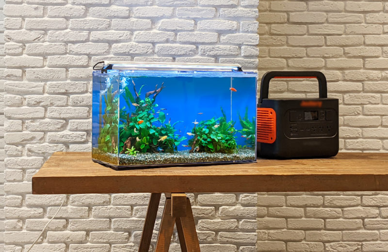 東京都港区 撮影イベント様 60cm淡水魚水槽 短期レンタル事例 水槽画像5