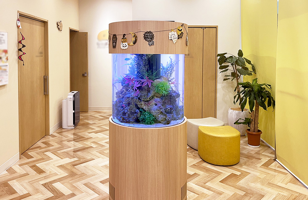ハロウィン装飾を施した円柱型水槽と室内の観葉植物