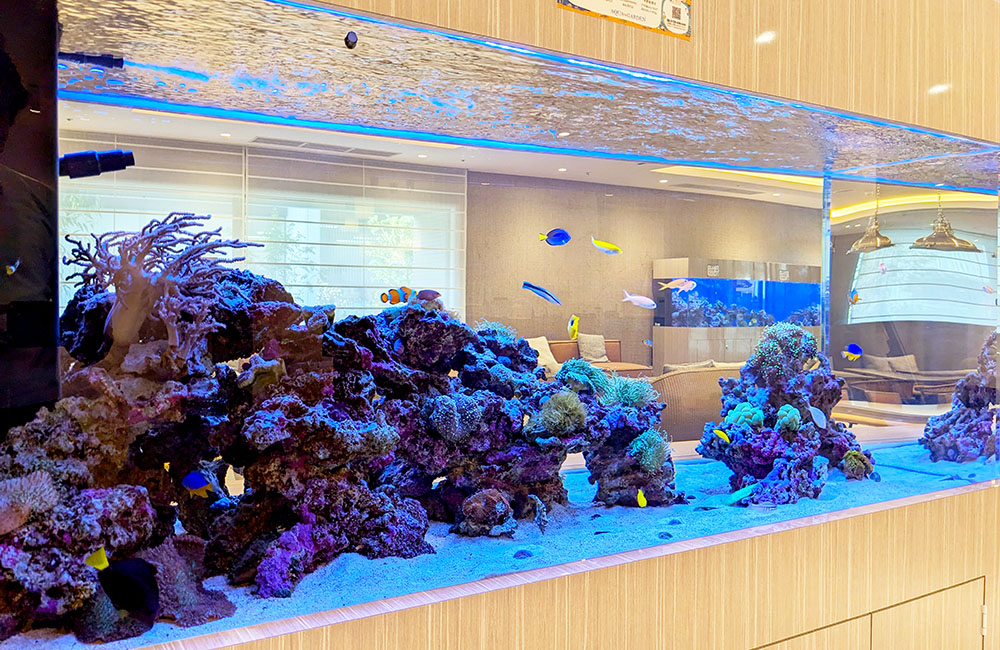 ライブロックと海水魚が泳ぐ大型の埋め込み式海水水槽