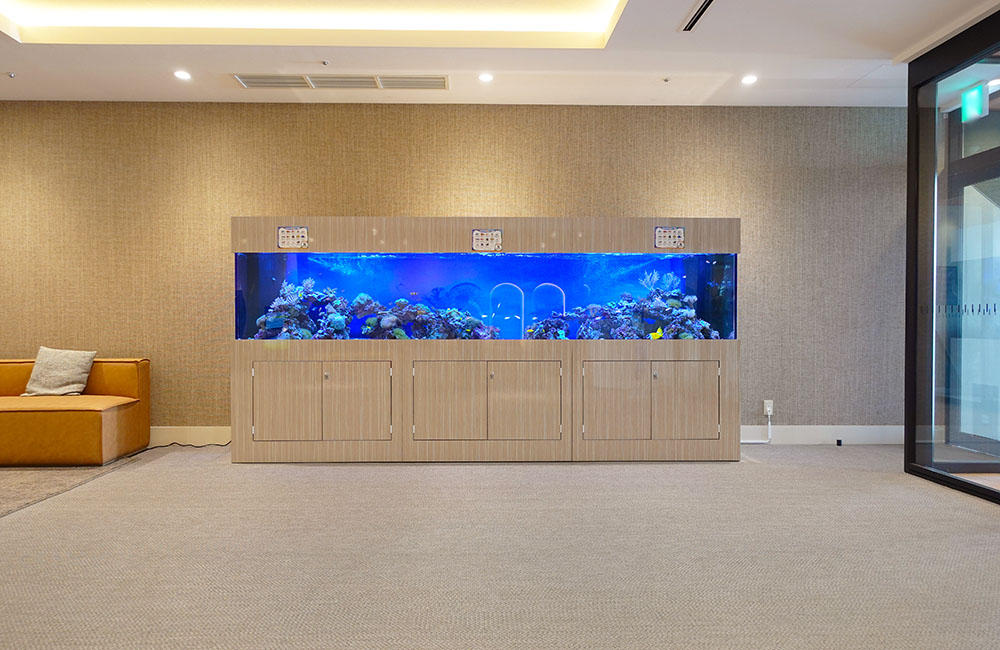 壁面に設置された大型の海水魚用埋め込み式水槽