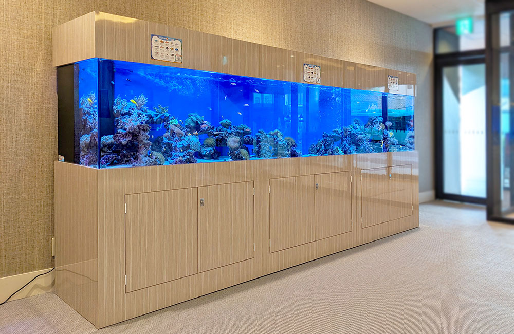 木目調キャビネットに設置された大型の海水魚水槽