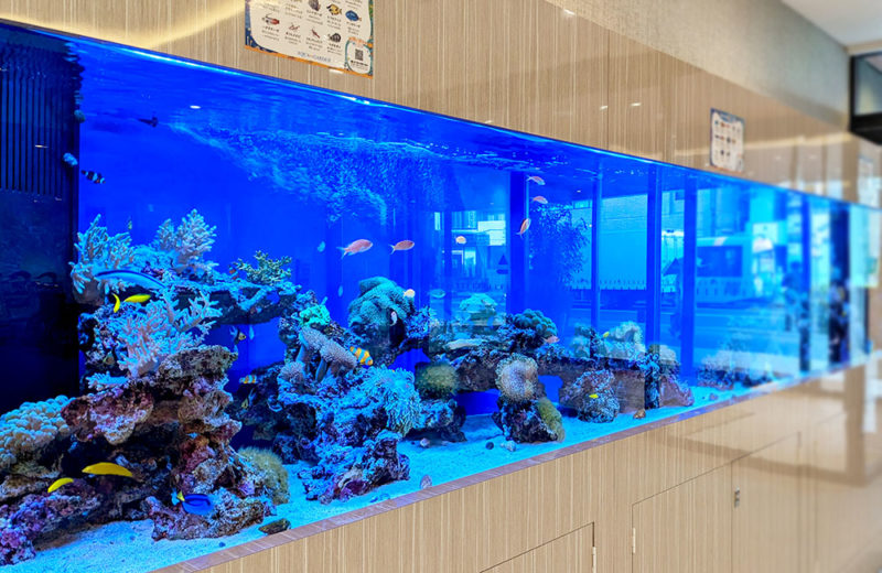 大迫力の3.5ｍ水槽！ホテルフローラ船橋のサンゴ水槽その1 水槽画像４
