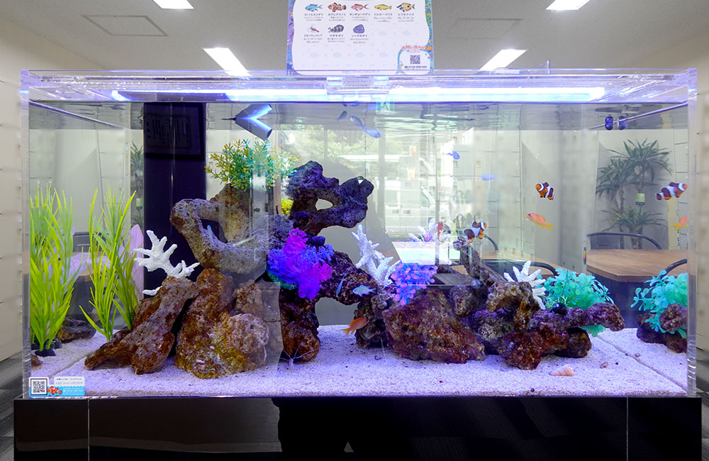 カクレクマノミが泳ぐ岩組みと造花の海水魚水槽
